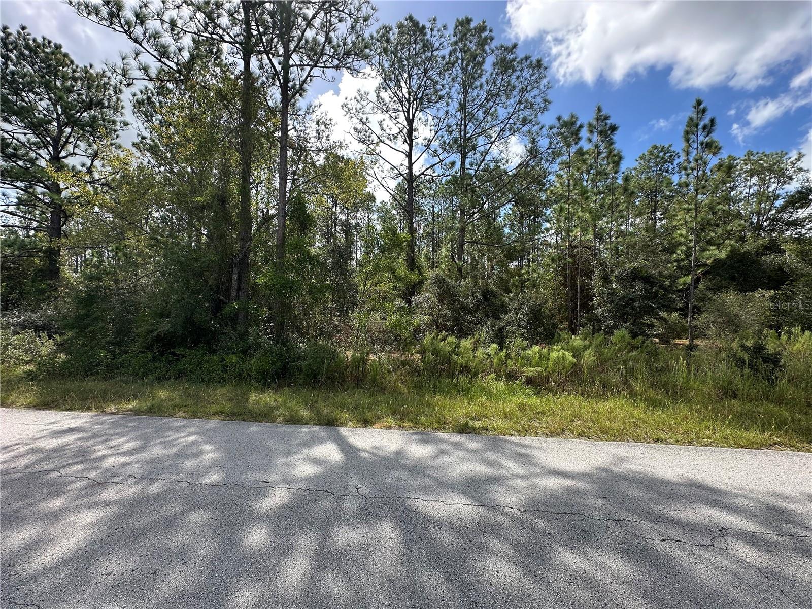 Details for Tbd Audubon Avenue, DUNNELLON, FL 34431