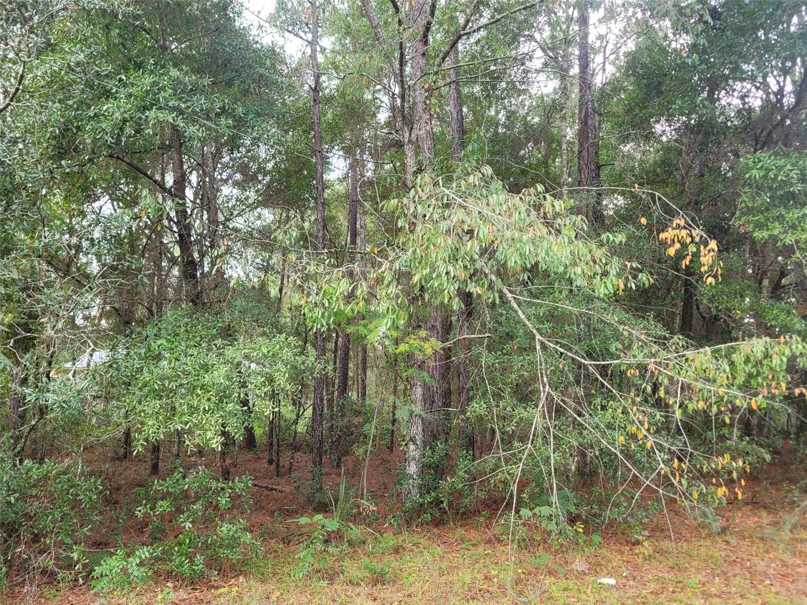 Image 2 of 4 For 9858 Jourden Drive