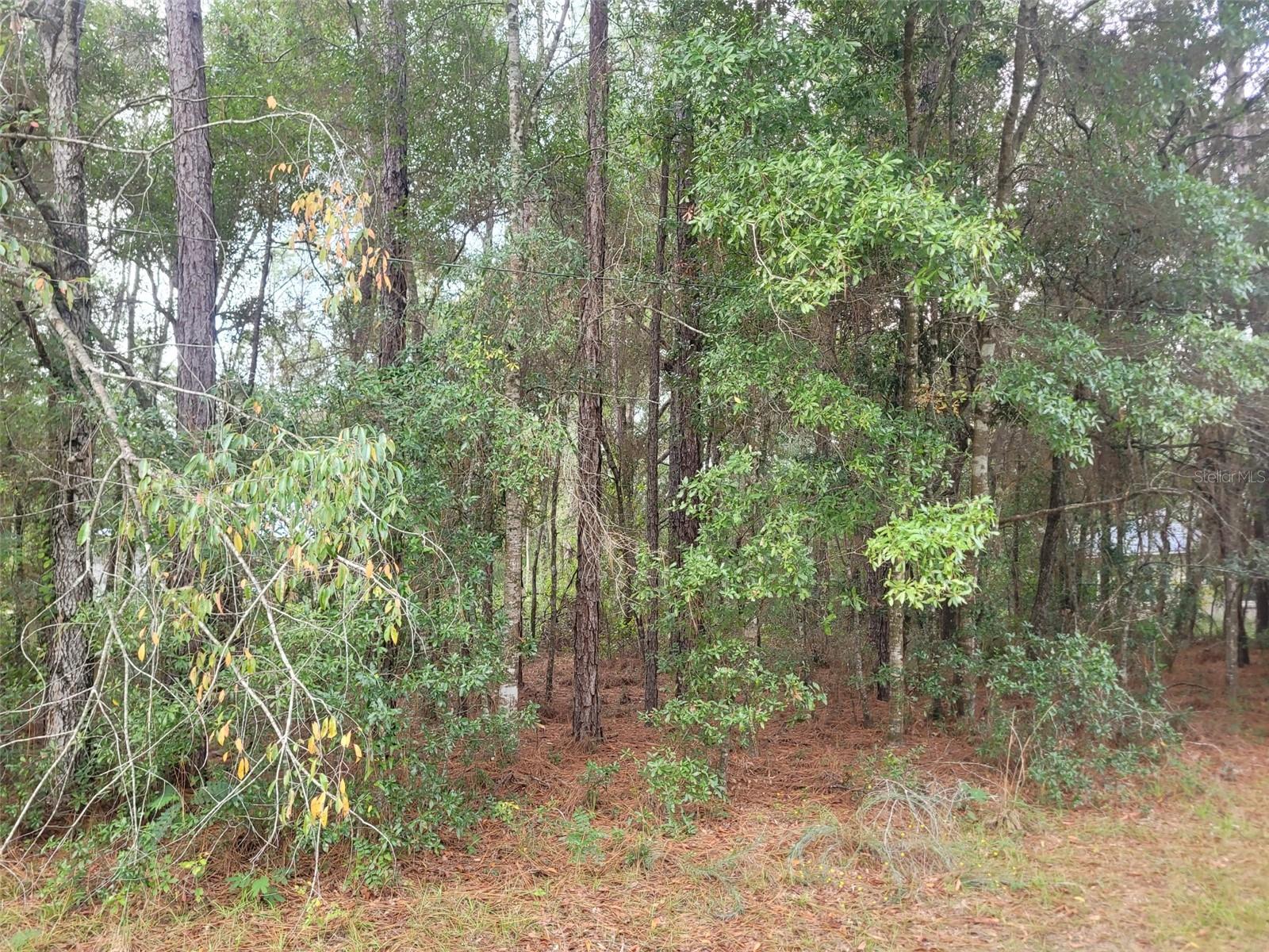 Image 3 of 4 For 9858 Jourden Drive