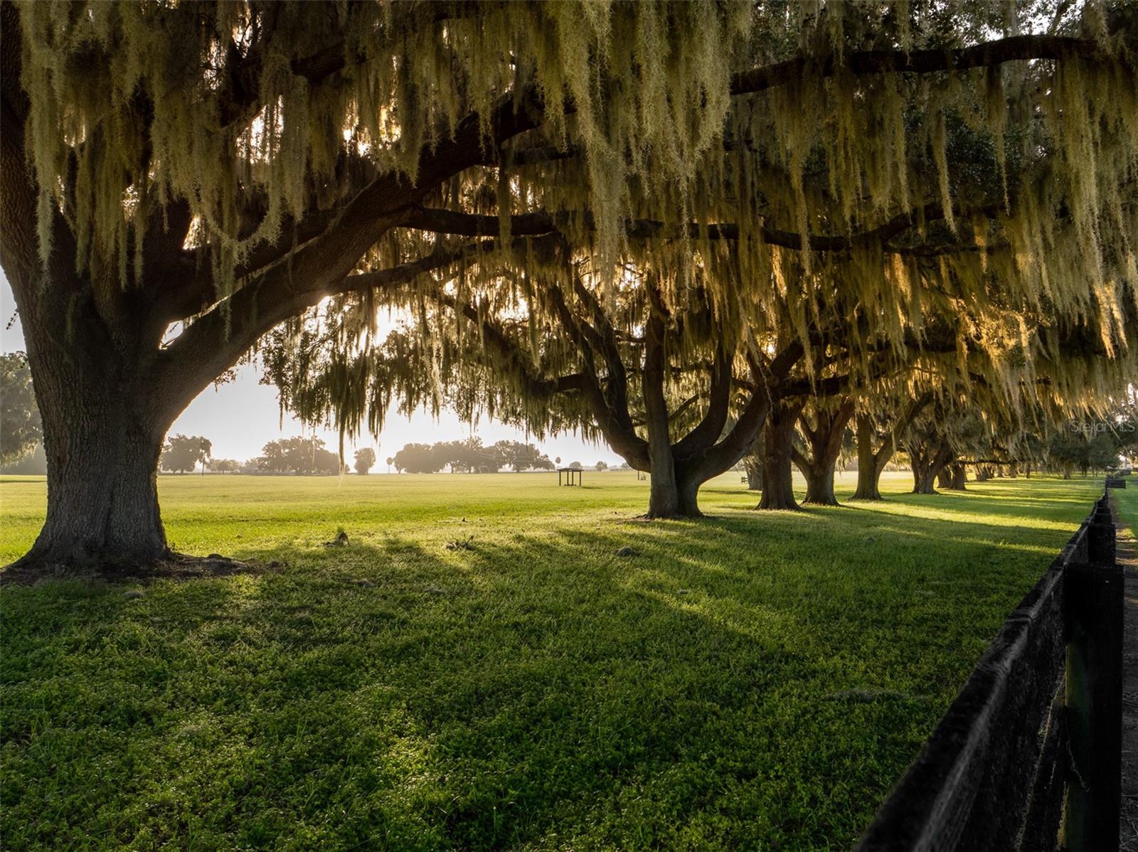 Image 22 of 25 For 3682 Highway 318