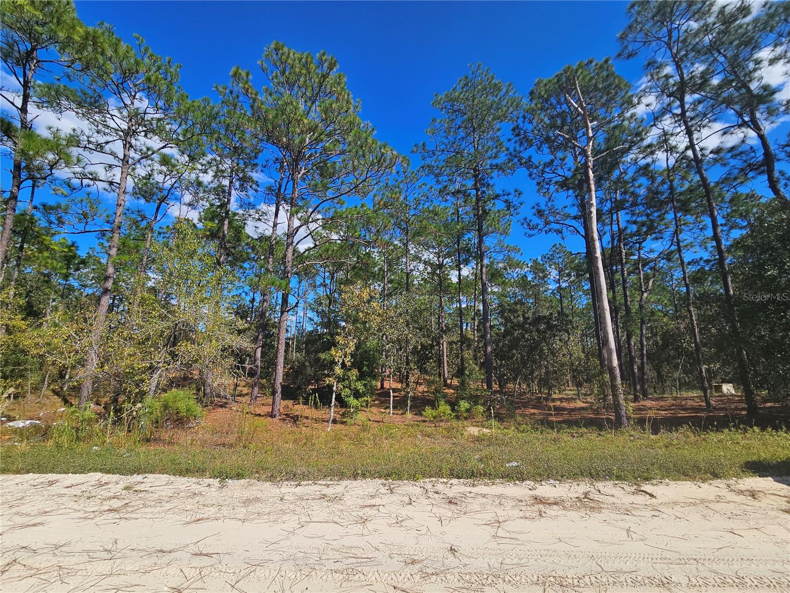 Image 5 of 5 For 2171 148th Court