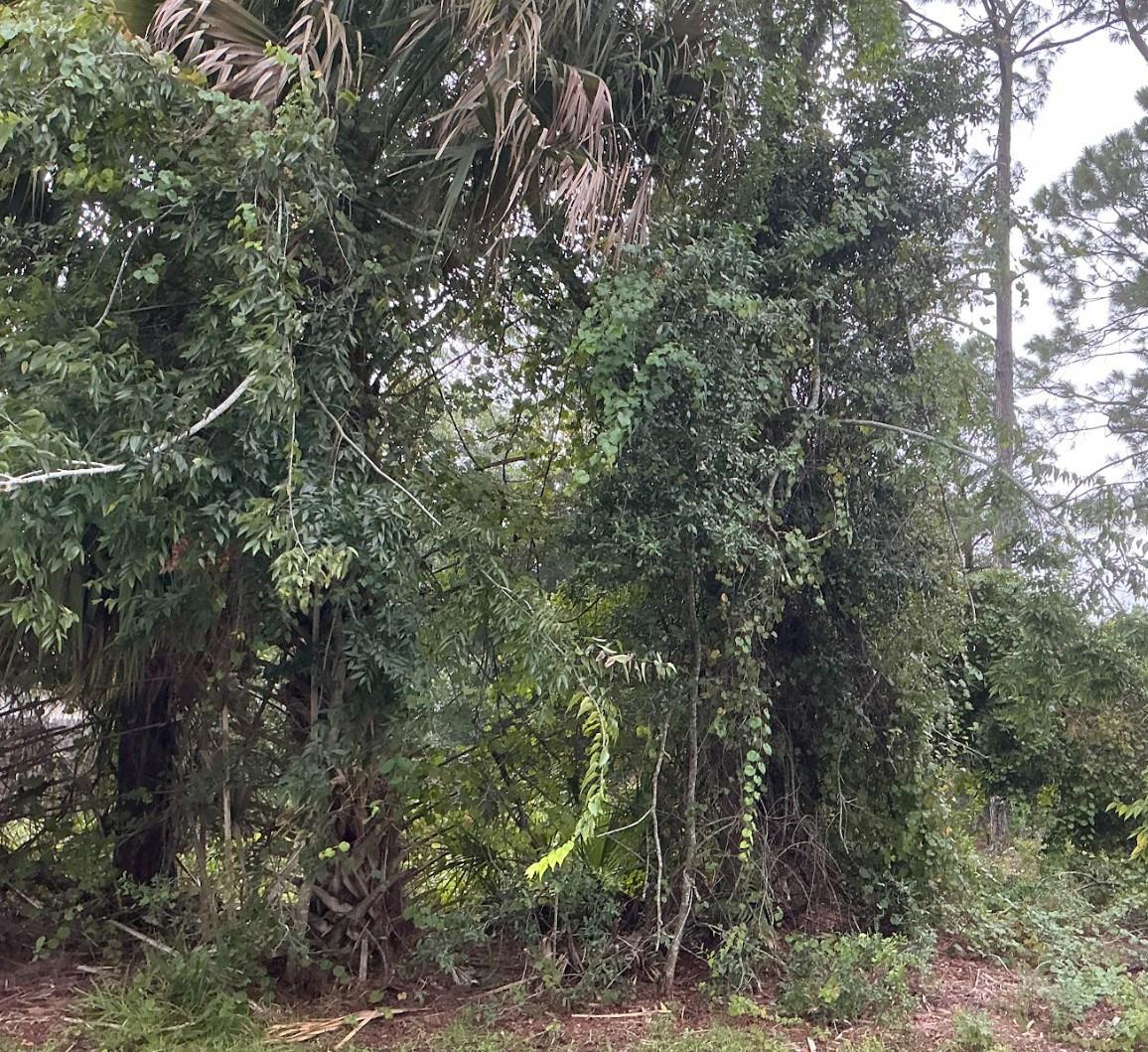 Details for 39 Whittington Drive, PALM COAST, FL 32164