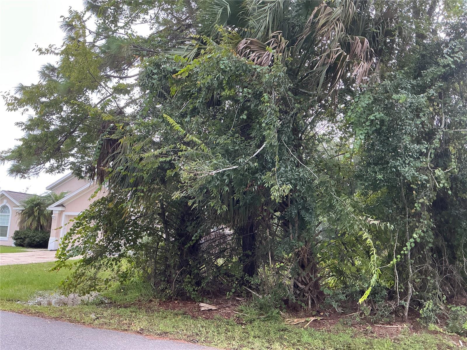 Image 2 of 5 For 39 Whittington Drive