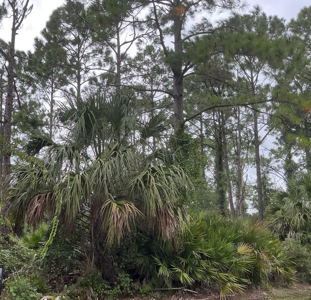 Image 3 of 5 For 39 Whittington Drive