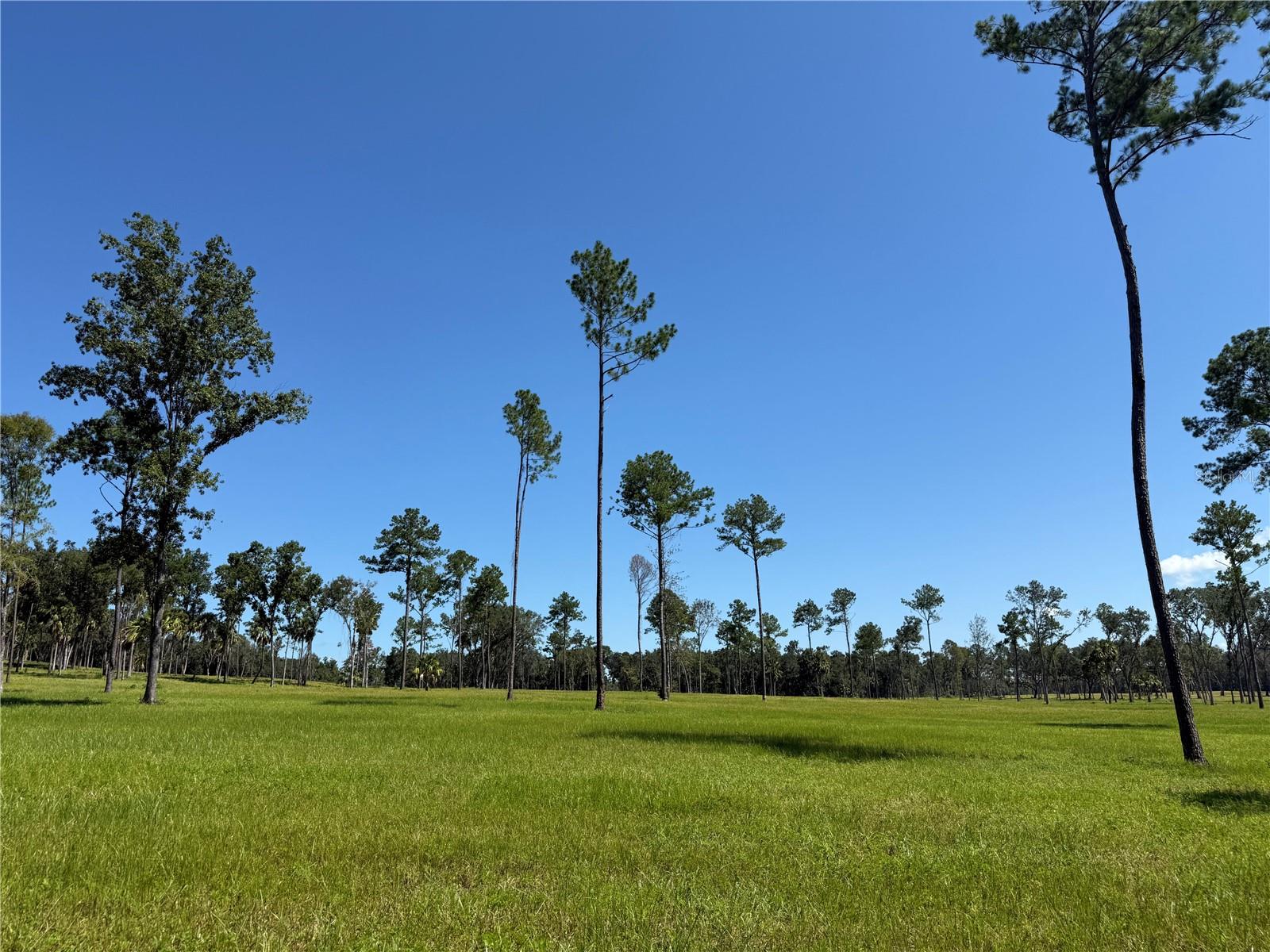 Details for Dr #5 (24ac) 193rd St, MICANOPY, FL 32667