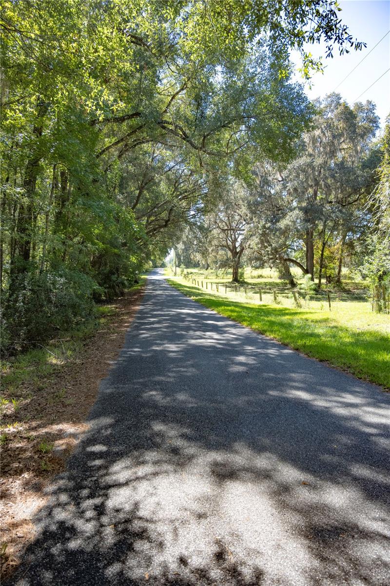 Details for Tbd Nw 160th Avenue, WILLISTON, FL 32696