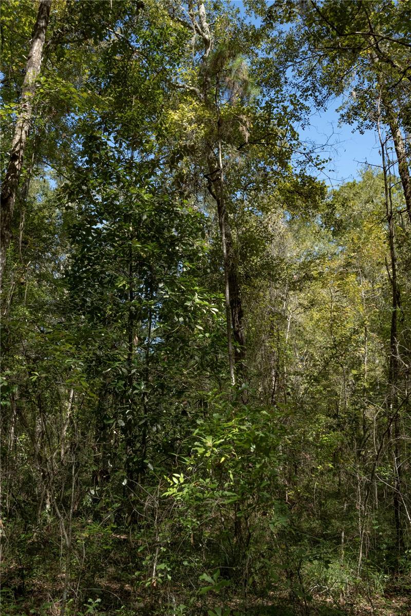 Image 11 of 18 For Tbd Nw 160th Avenue