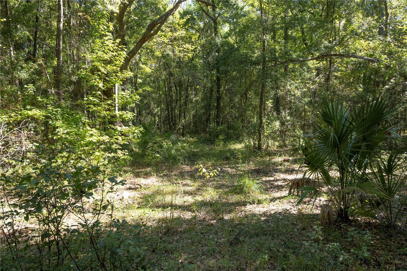 Image 12 of 18 For Tbd Nw 160th Avenue