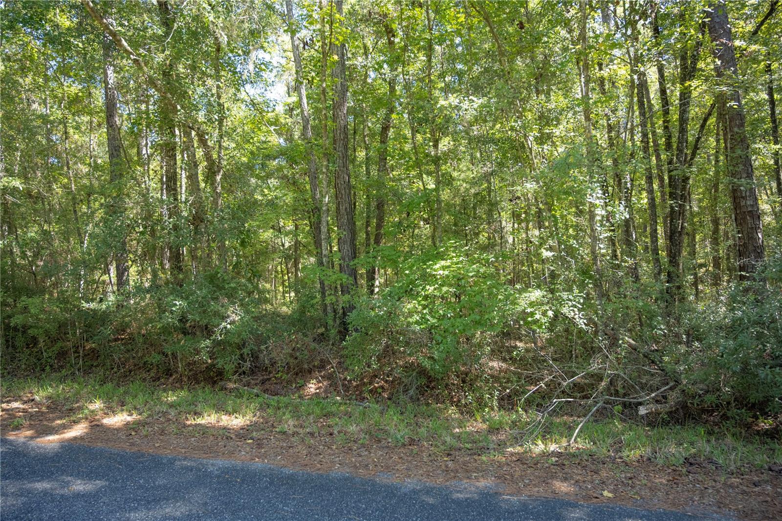 Image 3 of 18 For Tbd Nw 160th Avenue