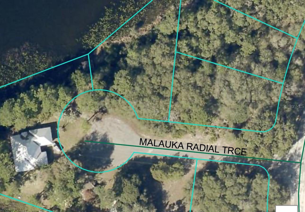 Image 4 of 6 For 0 Malauka Radial Track 38