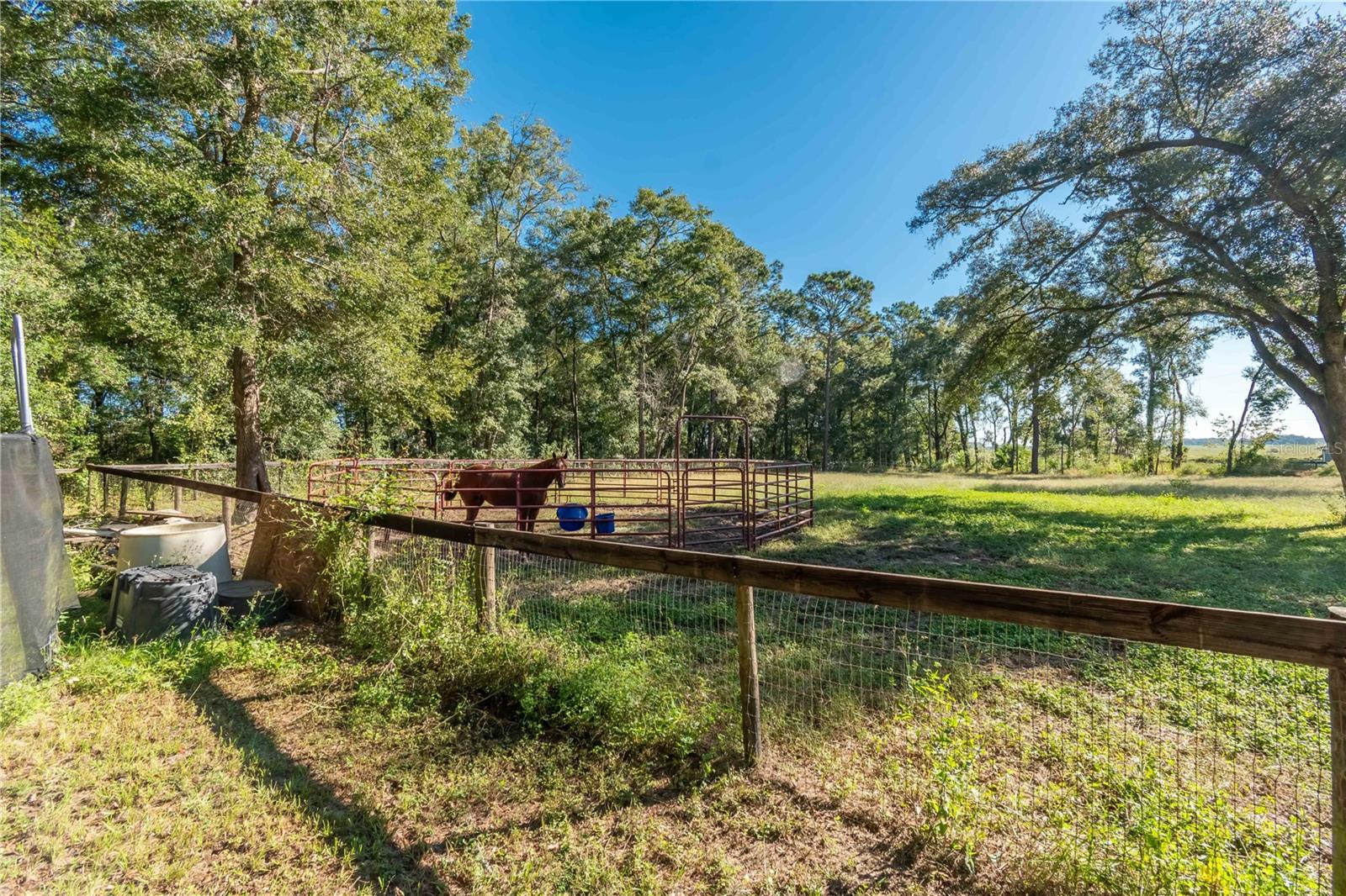 Image 43 of 50 For 8081 41st Place Road