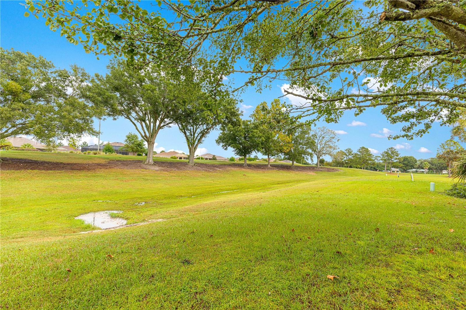 Image 36 of 55 For 9115 90th Street