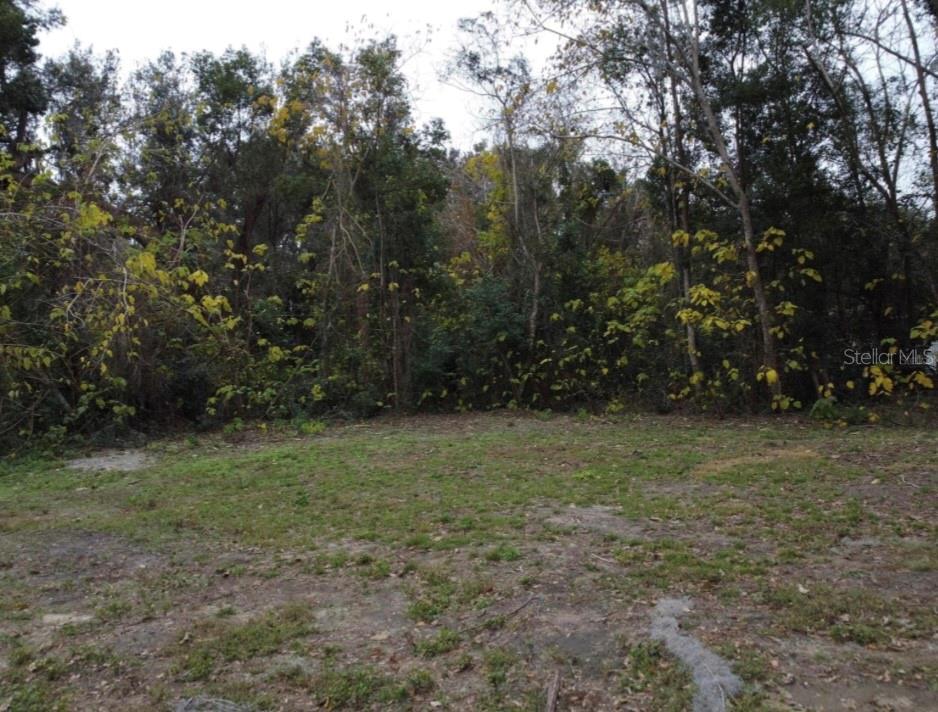 Details for 0 45 Street , OCALA, FL 34482