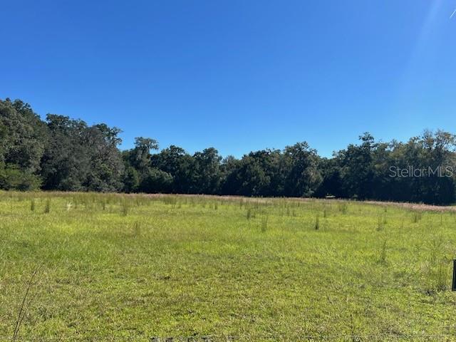Details for  Hwy 441  , CITRA, FL 32113