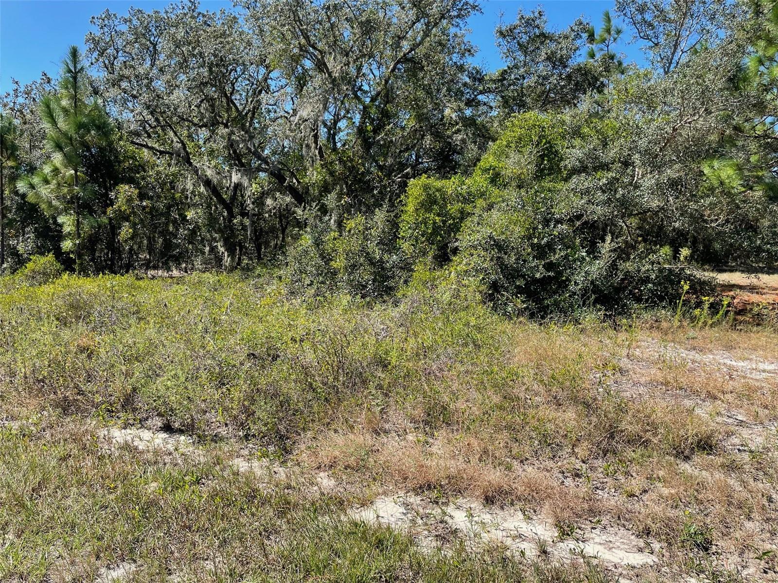 Details for Lot 2 Winding Hills Road, DUNNELLON, FL 34431