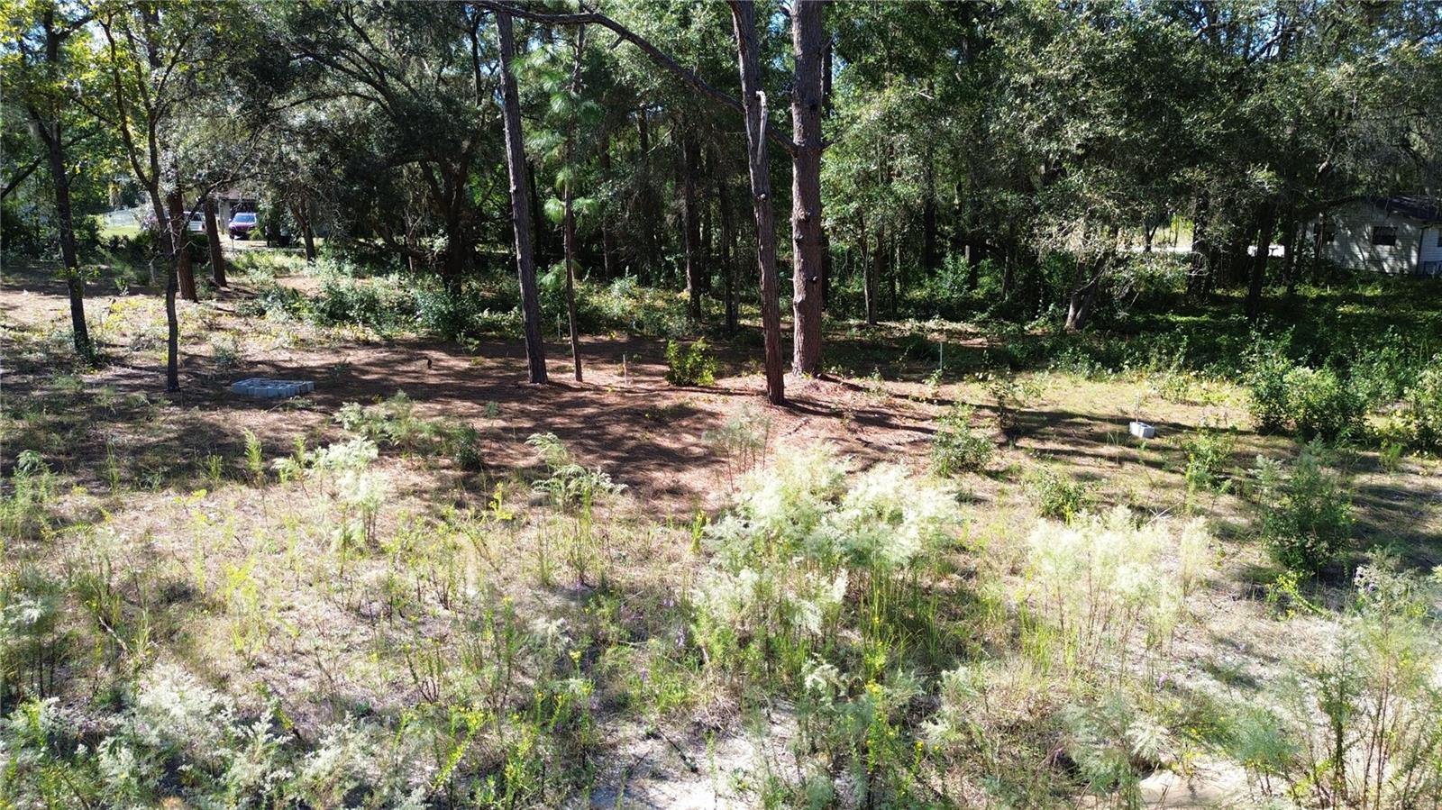 Image 10 of 14 For 12313 Elf Point
