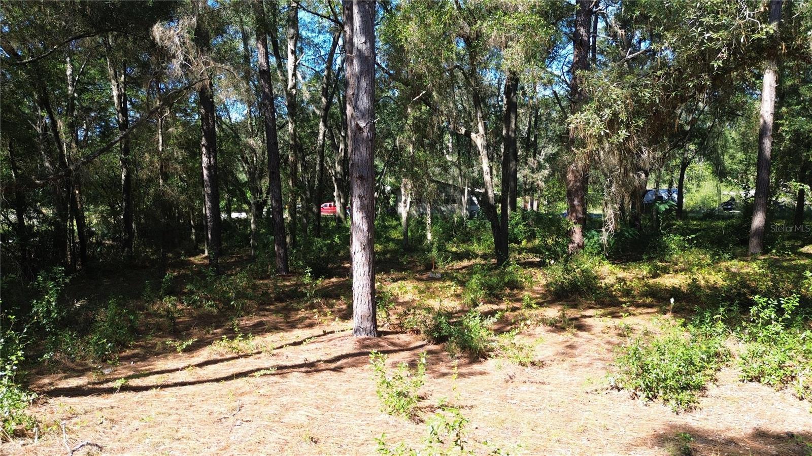 Image 7 of 14 For 12313 Elf Point