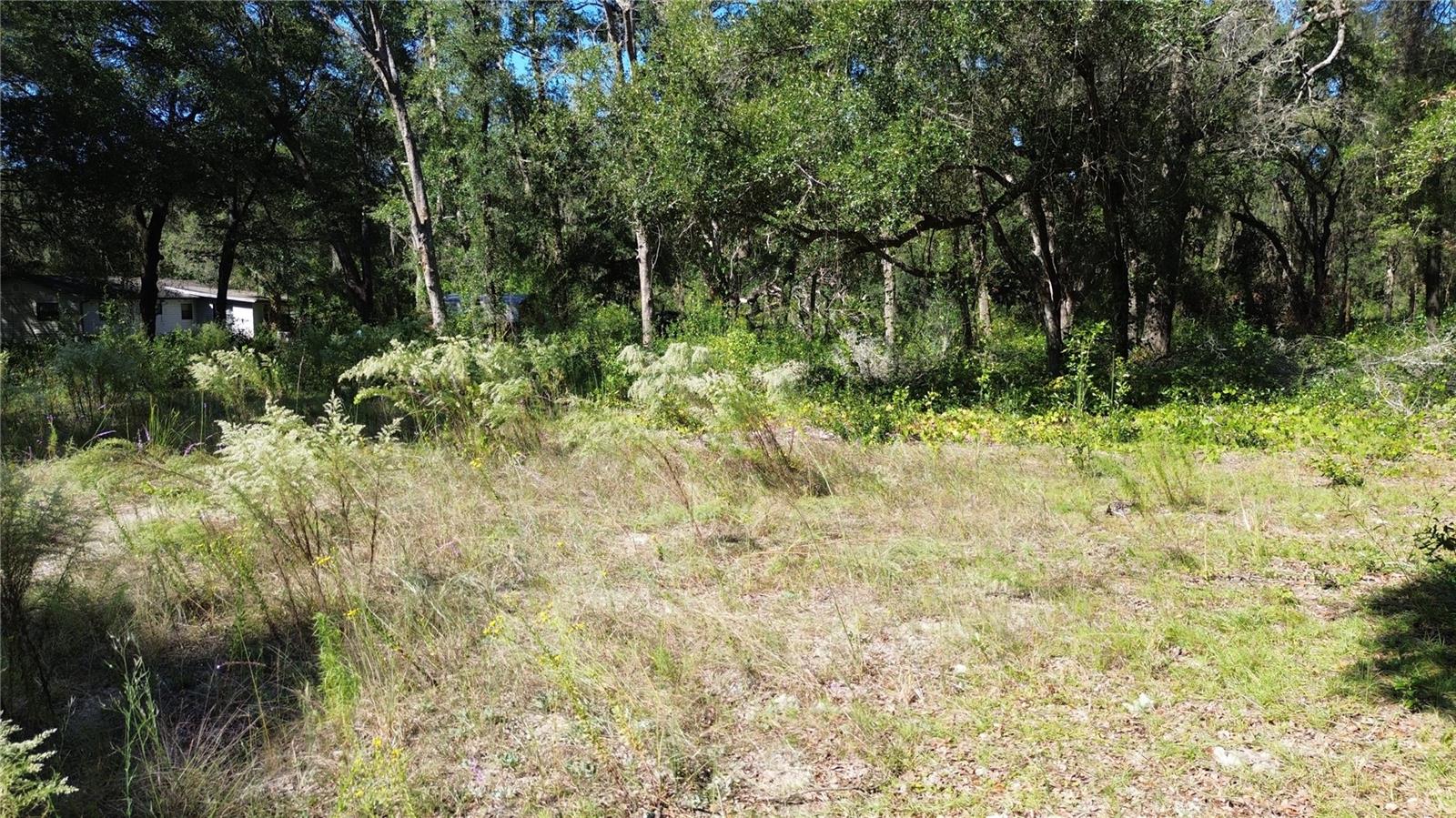 Image 8 of 14 For 12313 Elf Point