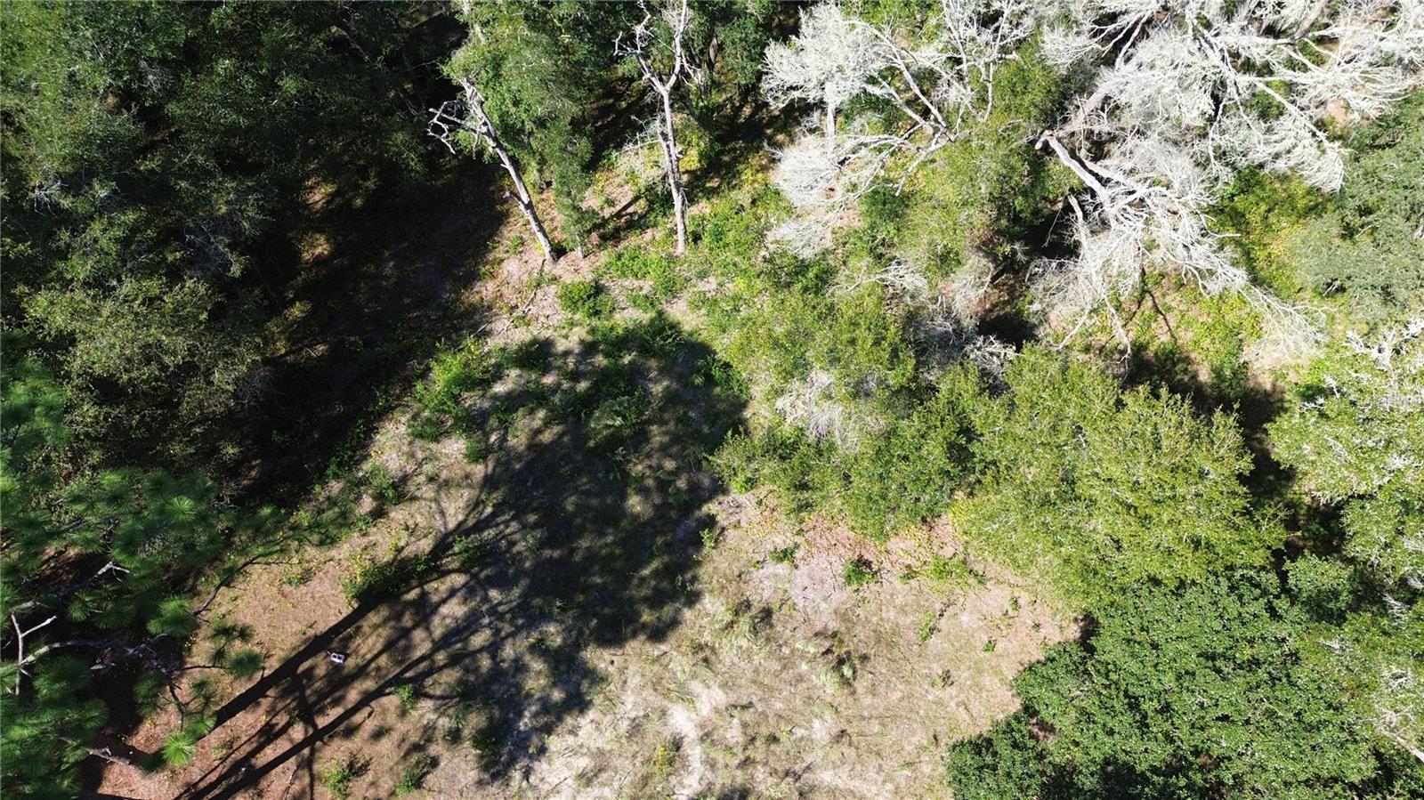 Image 9 of 14 For 12313 Elf Point