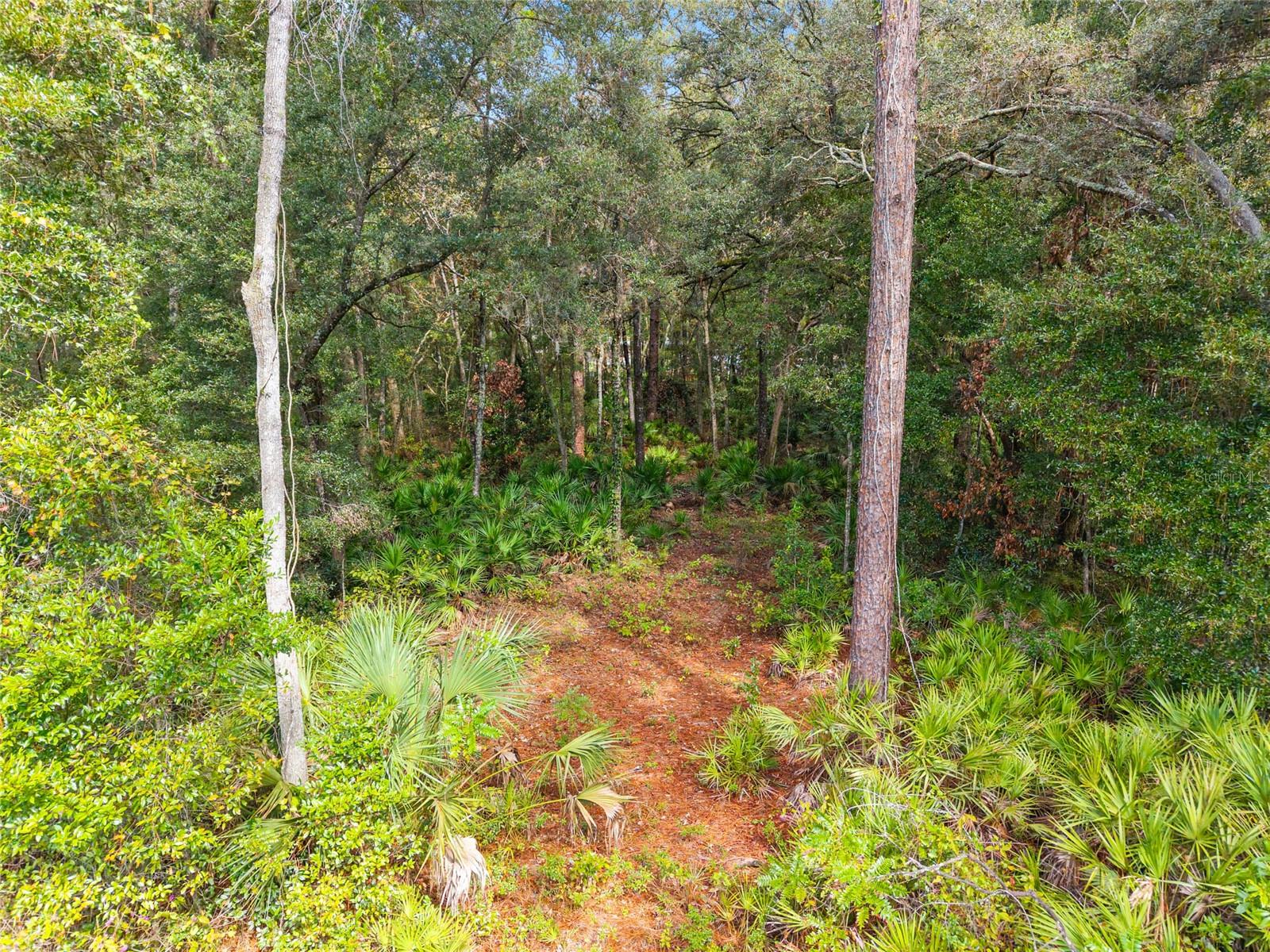 Image 91 of 100 For 6251 153rd Lane