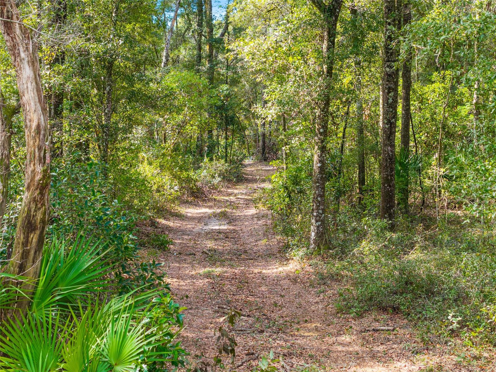 Image 93 of 100 For 6251 153rd Lane
