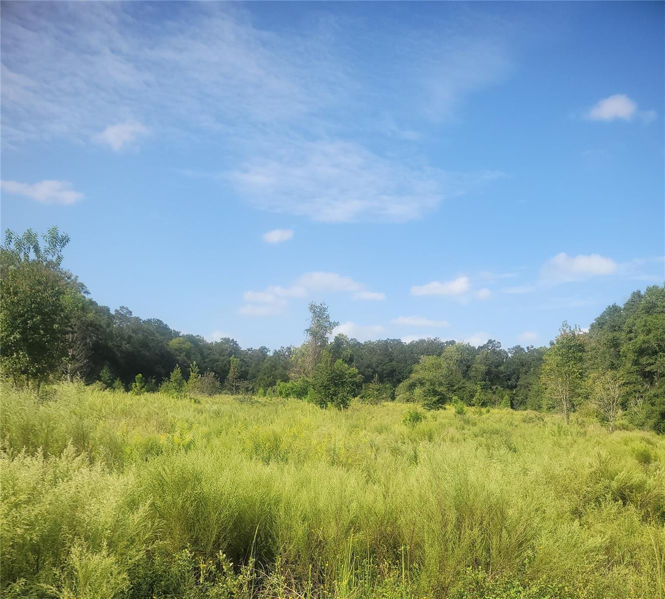 Details for 2826 174th Street, NEWBERRY, FL 32669