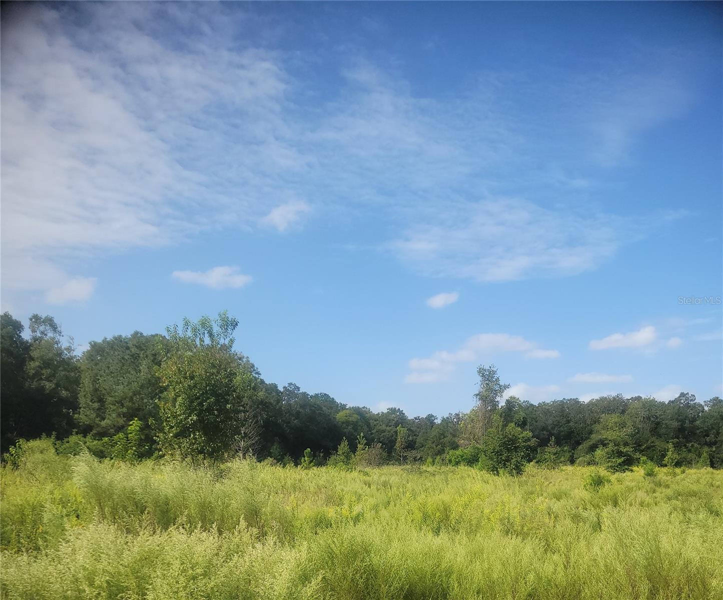 Image 3 of 4 For 2826 174th Street