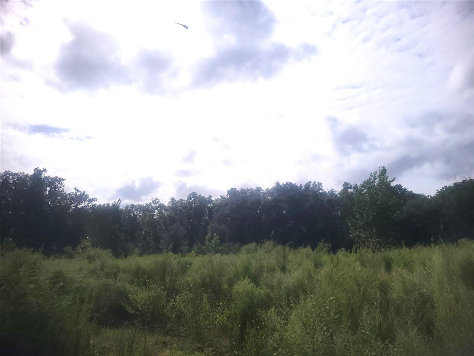 Image 4 of 4 For 2826 174th Street