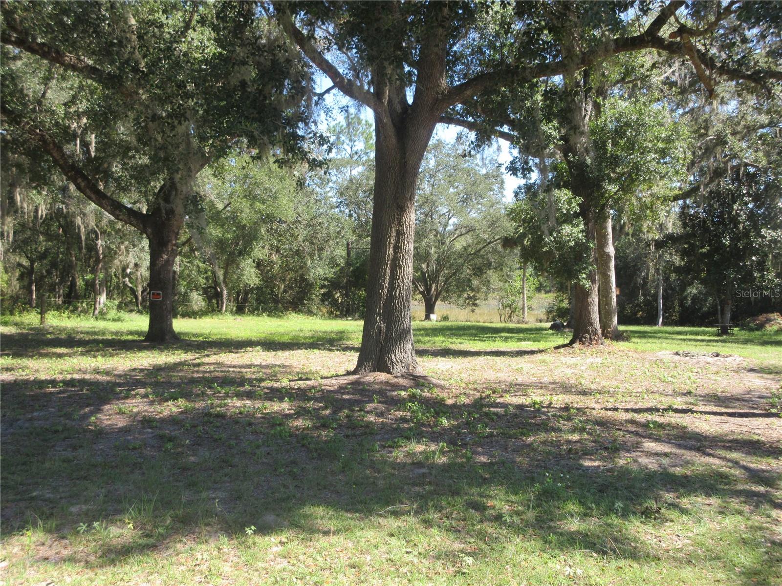 Image 10 of 18 For 4051 Highway 314a