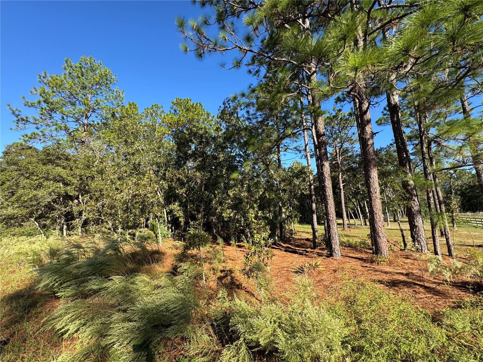 Details for 12351 67th Lane, OCALA, FL 34481