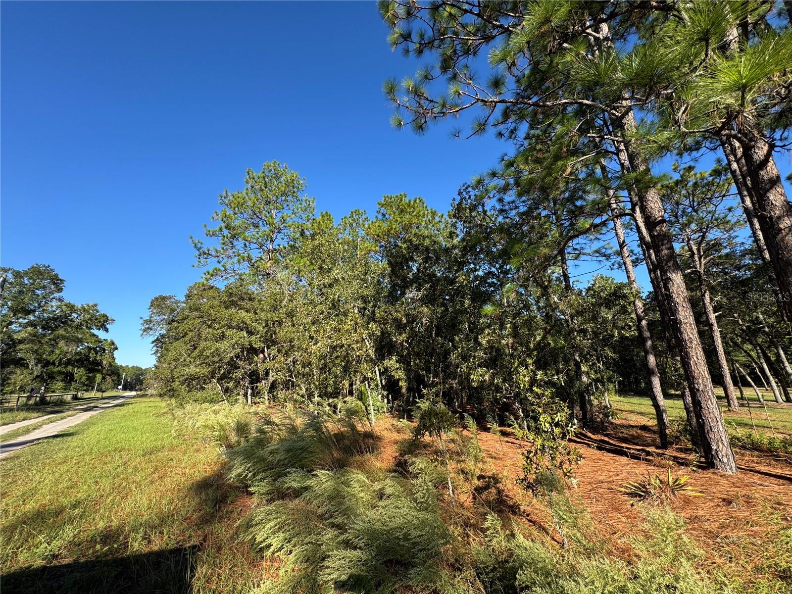 Image 2 of 9 For 12351 67th Lane