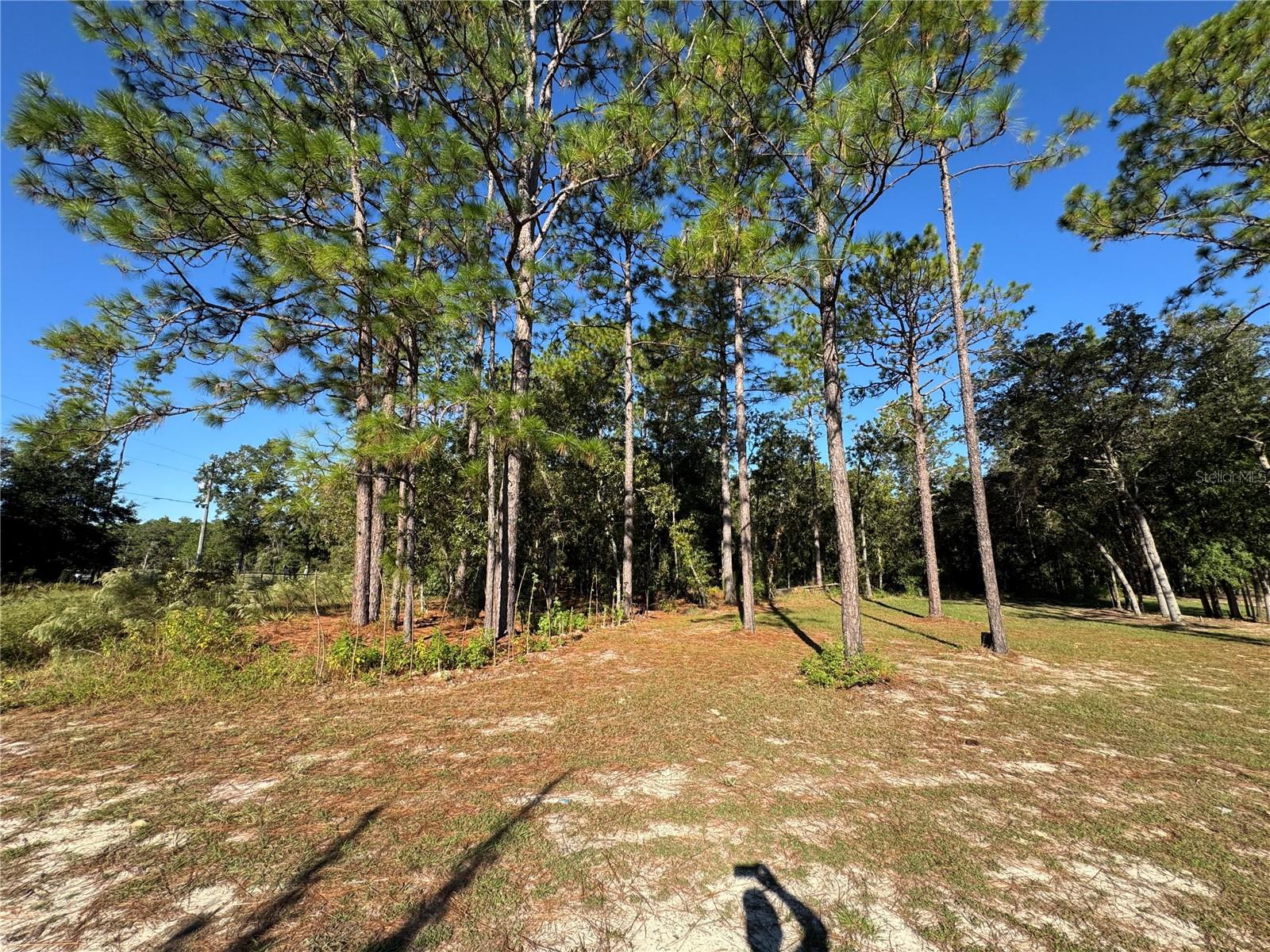 Image 3 of 9 For 12351 67th Lane