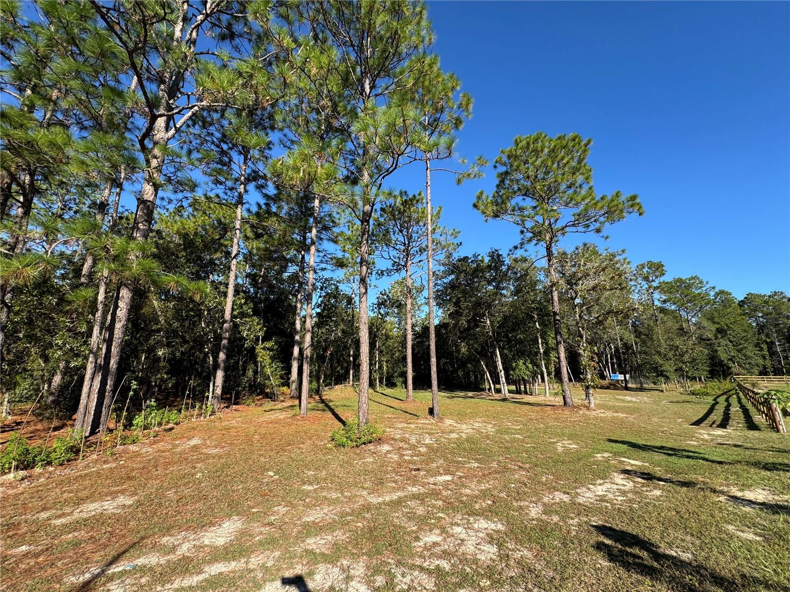 Image 4 of 9 For 12351 67th Lane