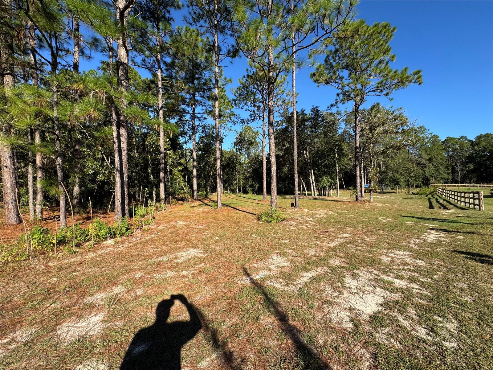 Image 5 of 9 For 12351 67th Lane