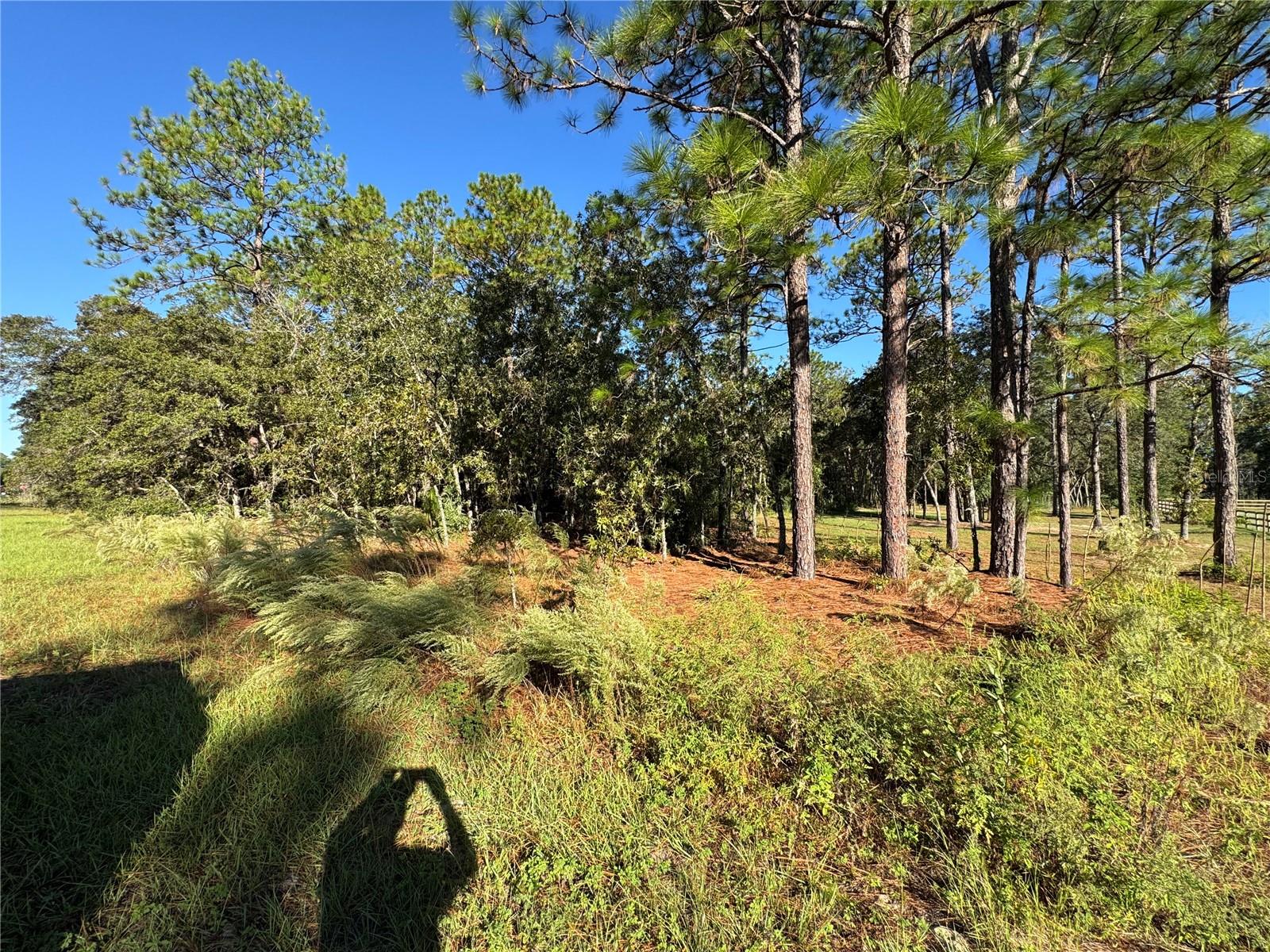 Image 7 of 9 For 12351 67th Lane