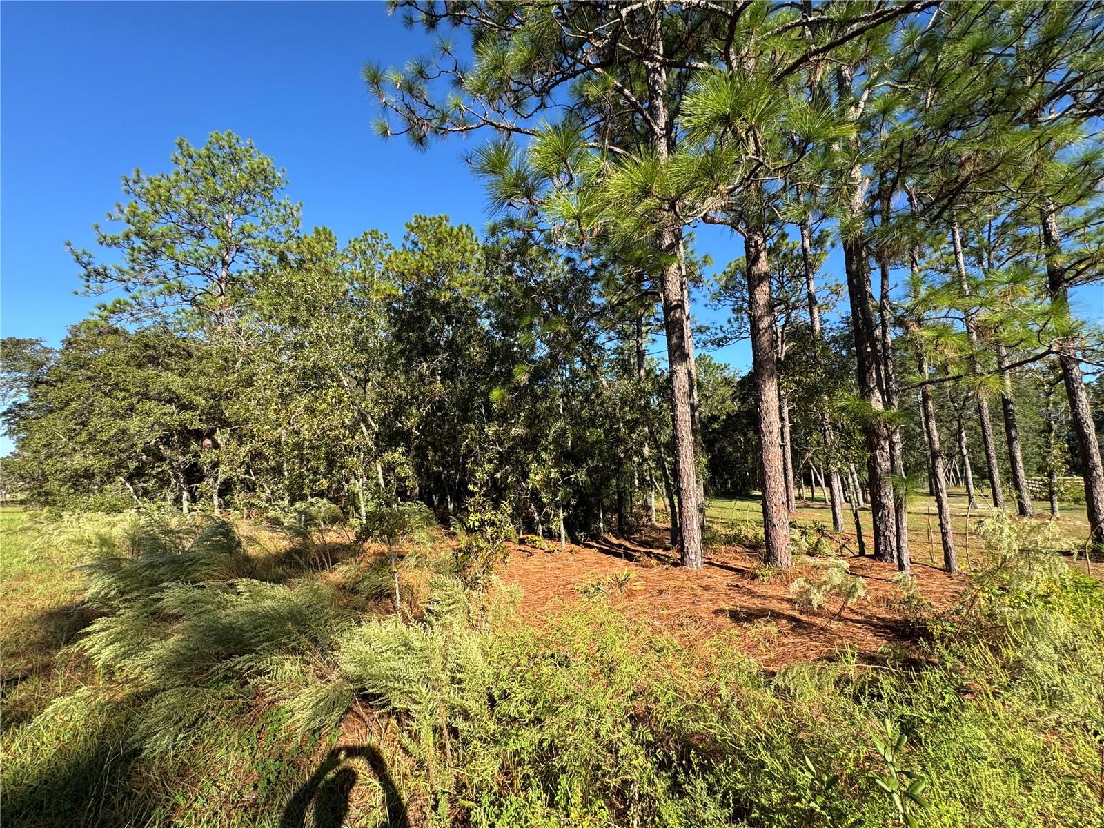 Image 8 of 9 For 12351 67th Lane