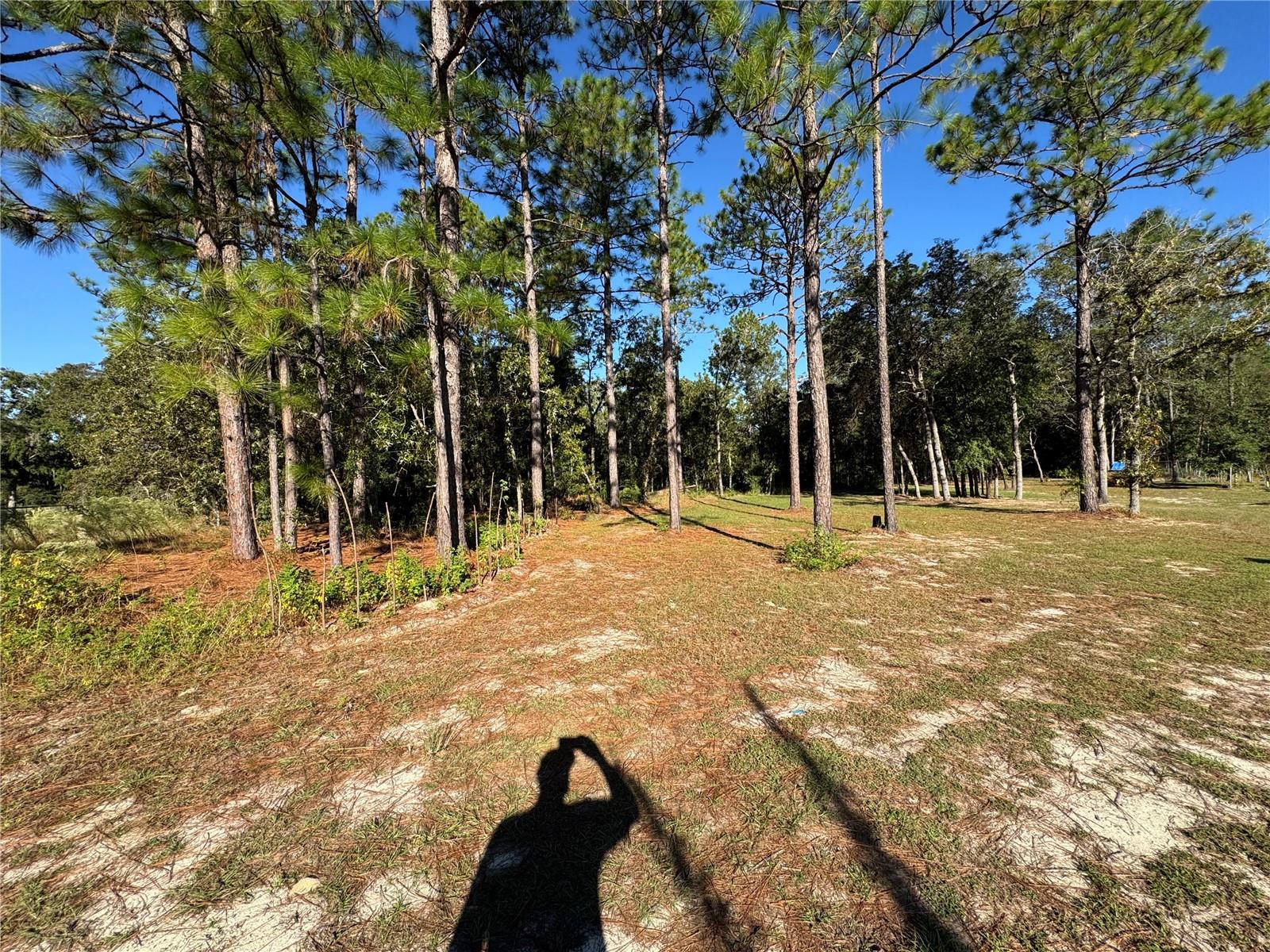 Image 9 of 9 For 12351 67th Lane