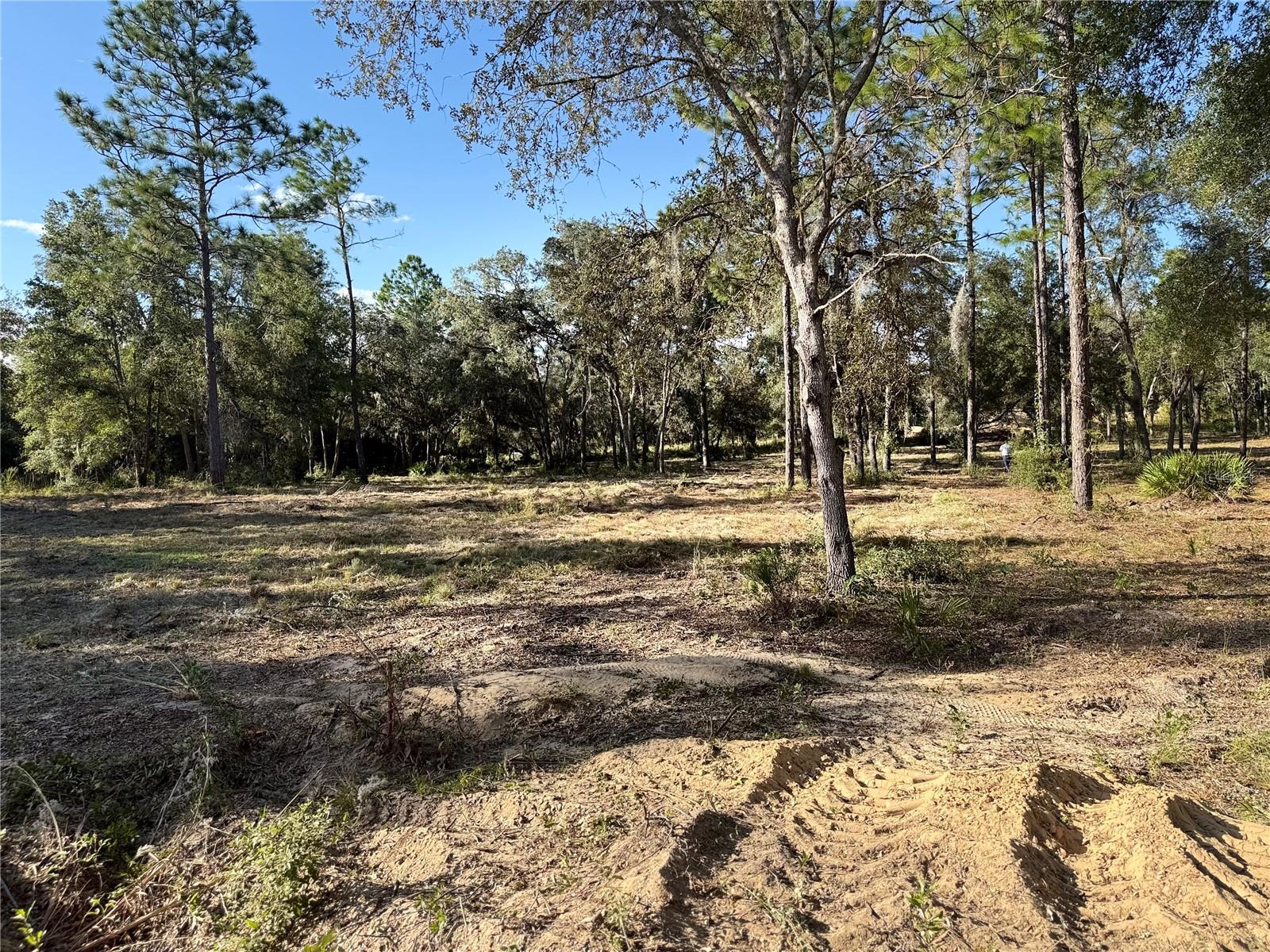 Image 4 of 8 For 11491 109th Pl