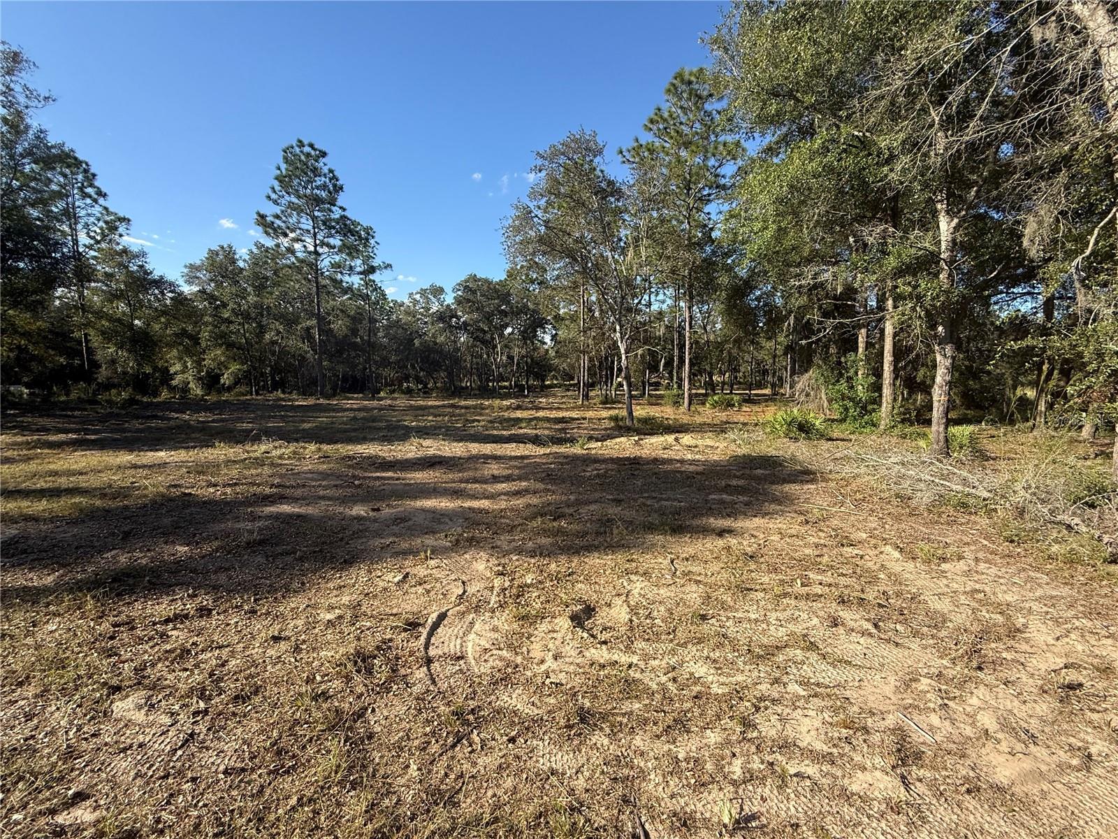 Image 5 of 8 For 11491 109th Pl