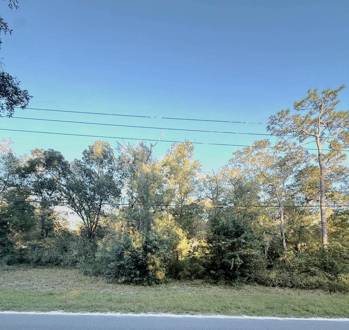 Details for 000 Keuka Road, INTERLACHEN, FL 32148