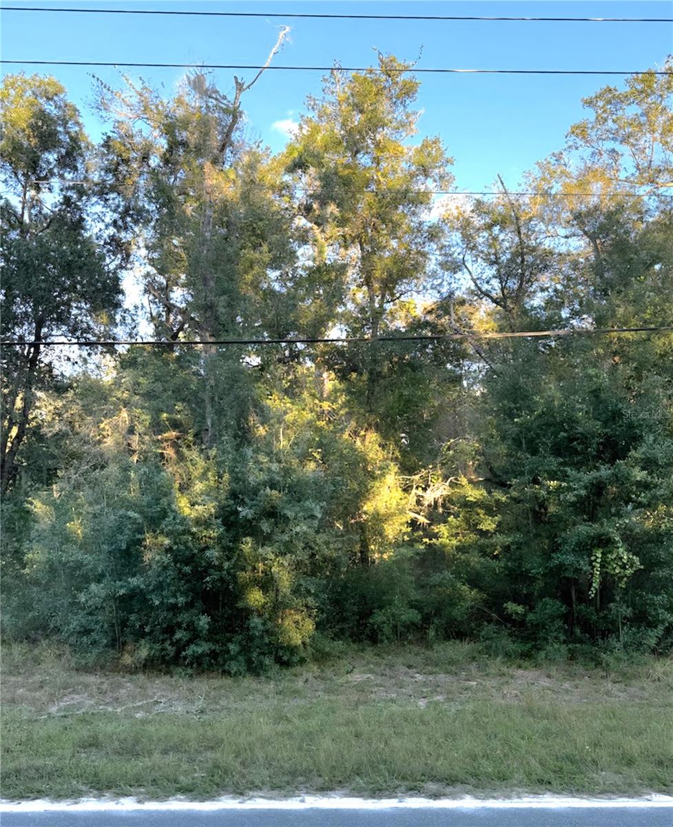 Image 7 of 14 For 000 Keuka Road
