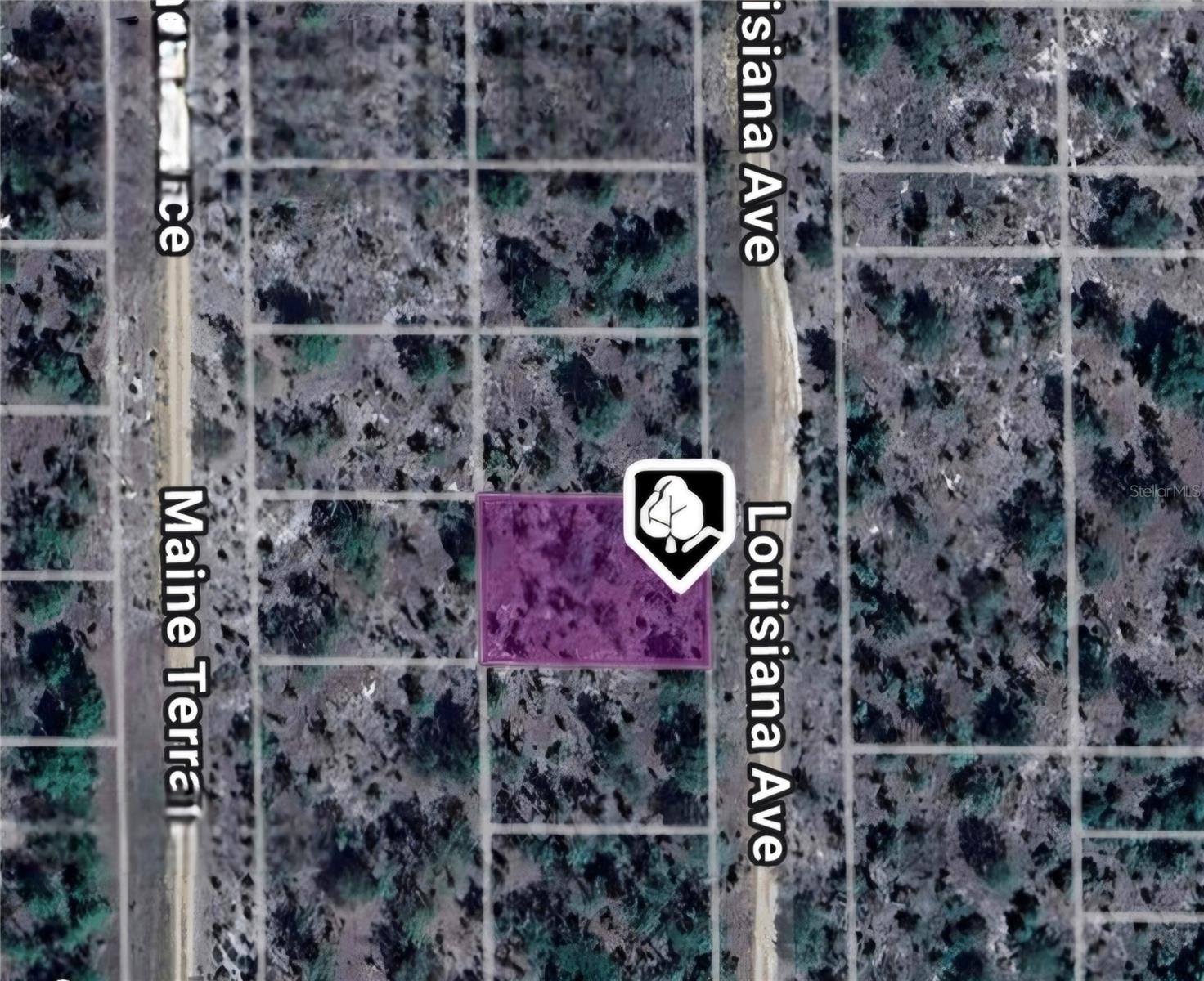 Details for Lot 19 And 20 Louisiana Avenue, HAWTHORNE, FL 32640