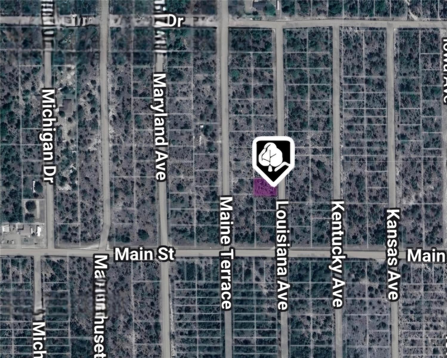 Image 2 of 5 For Lot 19 And 20 Louisiana Avenue