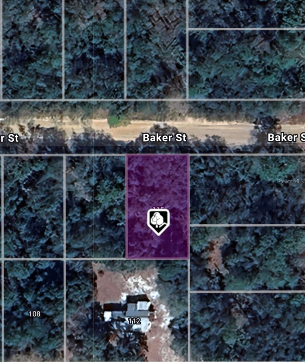Details for Lot 8 Baker Street, INTERLACHEN, FL 32148