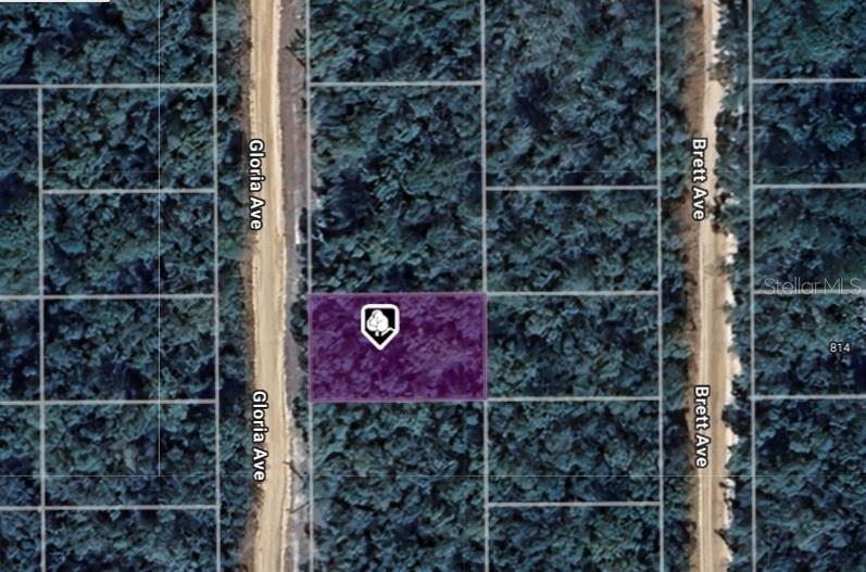 Details for Lot 8 Gloria Avenue, INTERLACHEN, FL 32148