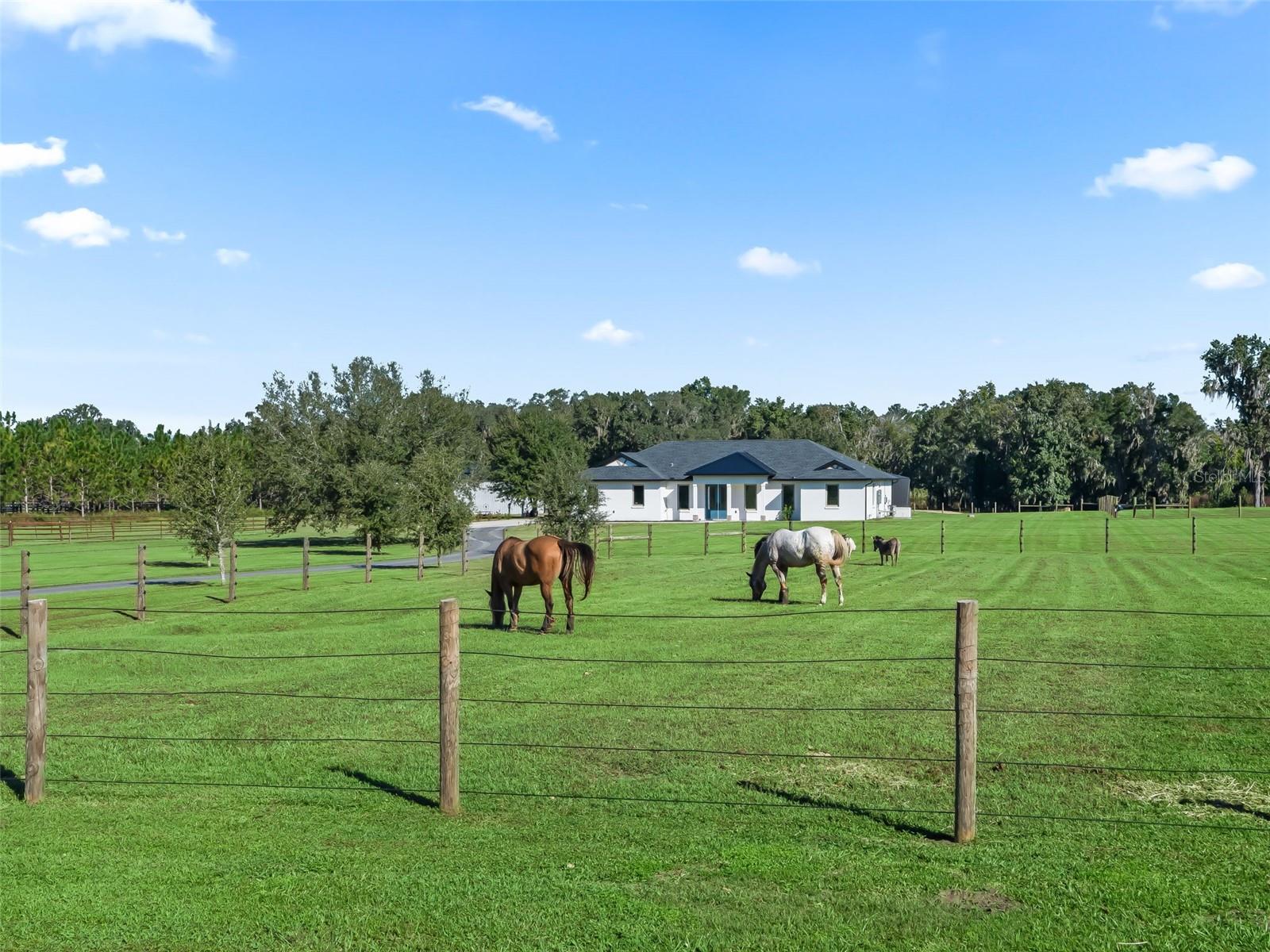 Image 6 of 75 For 9209 Highway 316