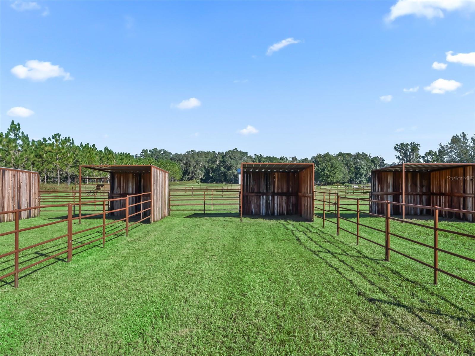 Image 61 of 75 For 9209 Highway 316