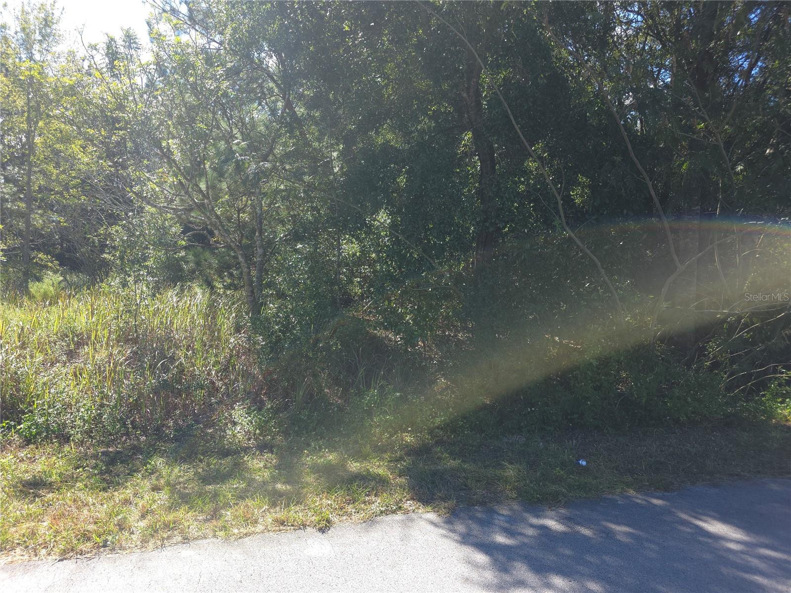 Listing Details for 70 Juniper Pass, OCALA, FL 34480