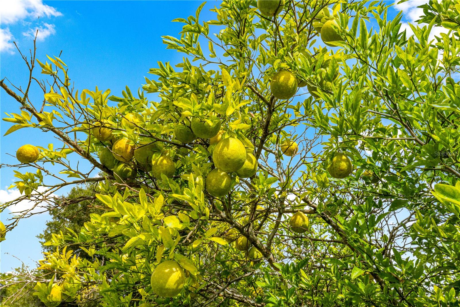 Image 30 of 49 For 3805 139th Street