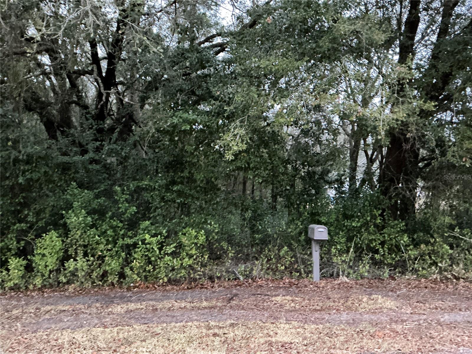 Image 1 of 4 For 0 143rd Place